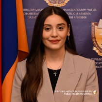 Անի Շիրակի Թորոսյան