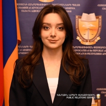 Անի Կամսարի Կարապետյան